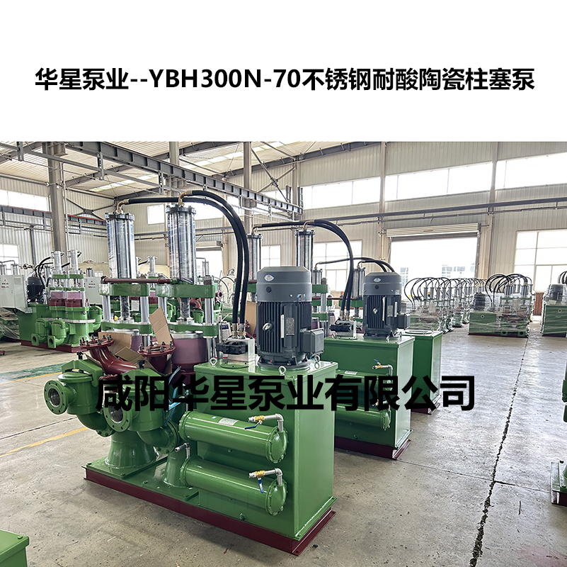 YBH300N-70不銹鋼耐酸陶瓷柱塞泵-04 YBH300N-70不銹鋼耐酸陶瓷柱塞泵-04