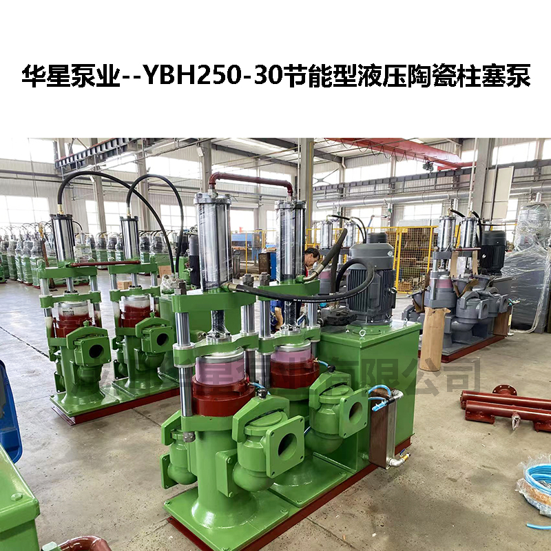 YBH250-30節(jié)能型液壓陶瓷柱塞泵-13 YBH250-30節(jié)能型液壓陶瓷柱塞泵-13
